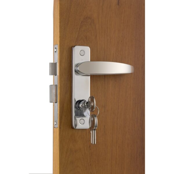 Mortise Door Locks